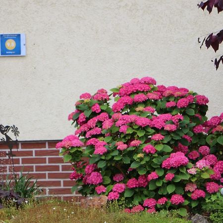 Ferienwohnung-Wieber คัปเพล-กราเฟินเฮาเซน ภายนอก รูปภาพ